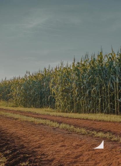 Direito Agrário - Serviços